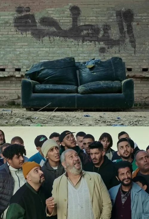 ملصق البطحة